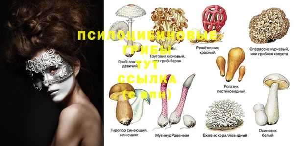 шишки Алексеевка