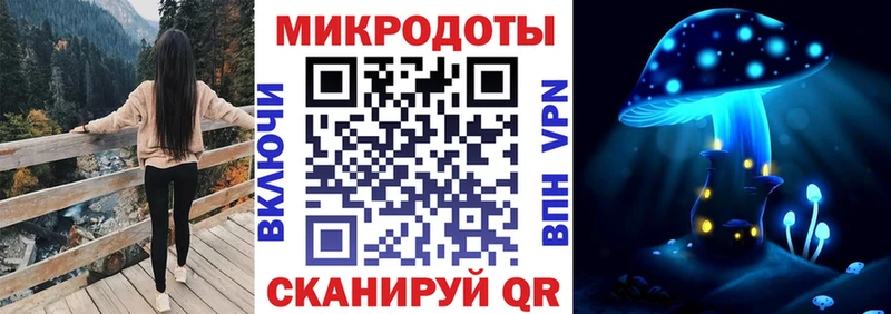 Псилоцибиновые грибы прущие грибы  Алзамай 